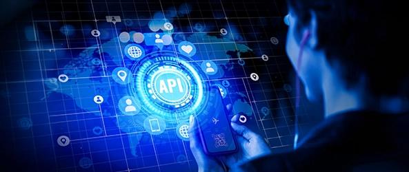 NET Integration and API Development