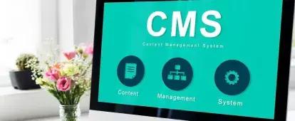 CMS Development